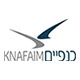 כנפיים לוגו